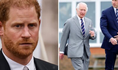 King Charles' heartbreaking plea to sons Prince Harry and William for his 'final years'