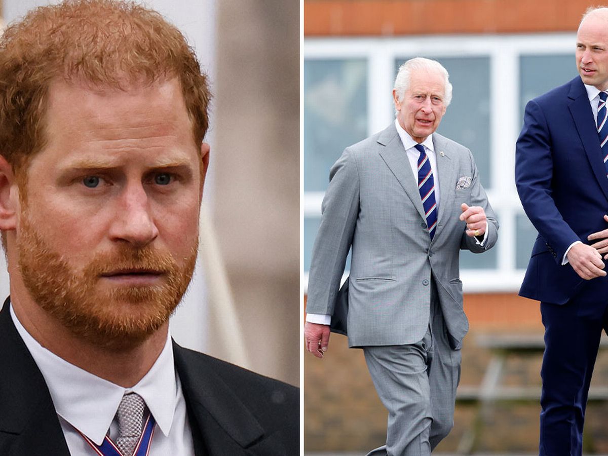 King Charles' heartbreaking plea to sons Prince Harry and William for his 'final years'