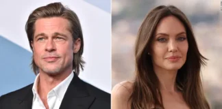 Angelina Jolie and Brad Pitt went from ‘Domestic Bliss’ to divorce: Inside their ongoing multi-year legal feud…read more